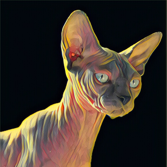 albaluzandrade